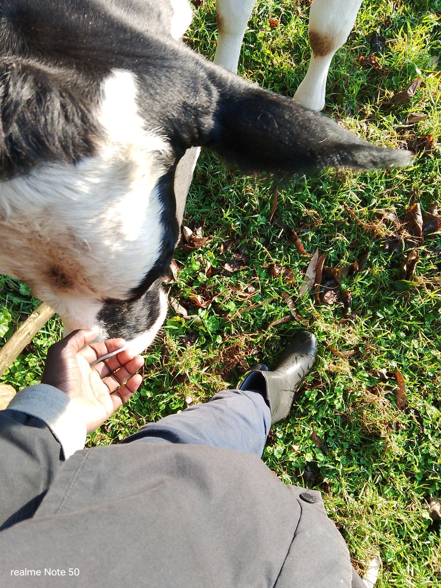 EngFelix_035's tweet photo. What's on your feet? 🐾 https://t.co/6t8noREBZ5