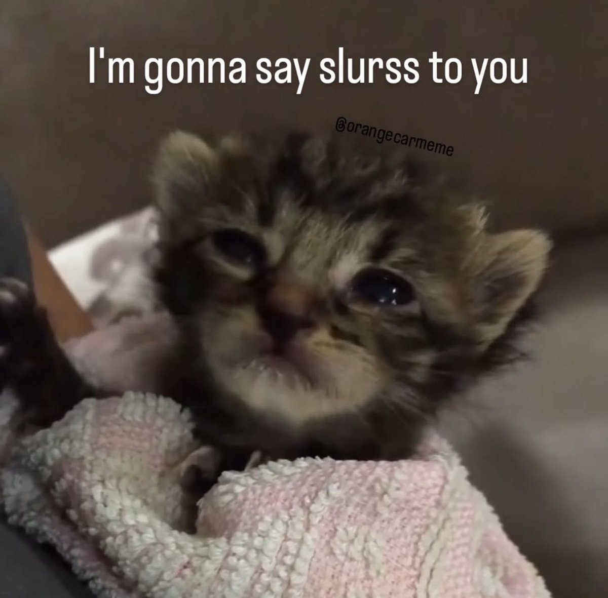 El Señor De Los Memes (@ultimolegend) on Twitter photo 