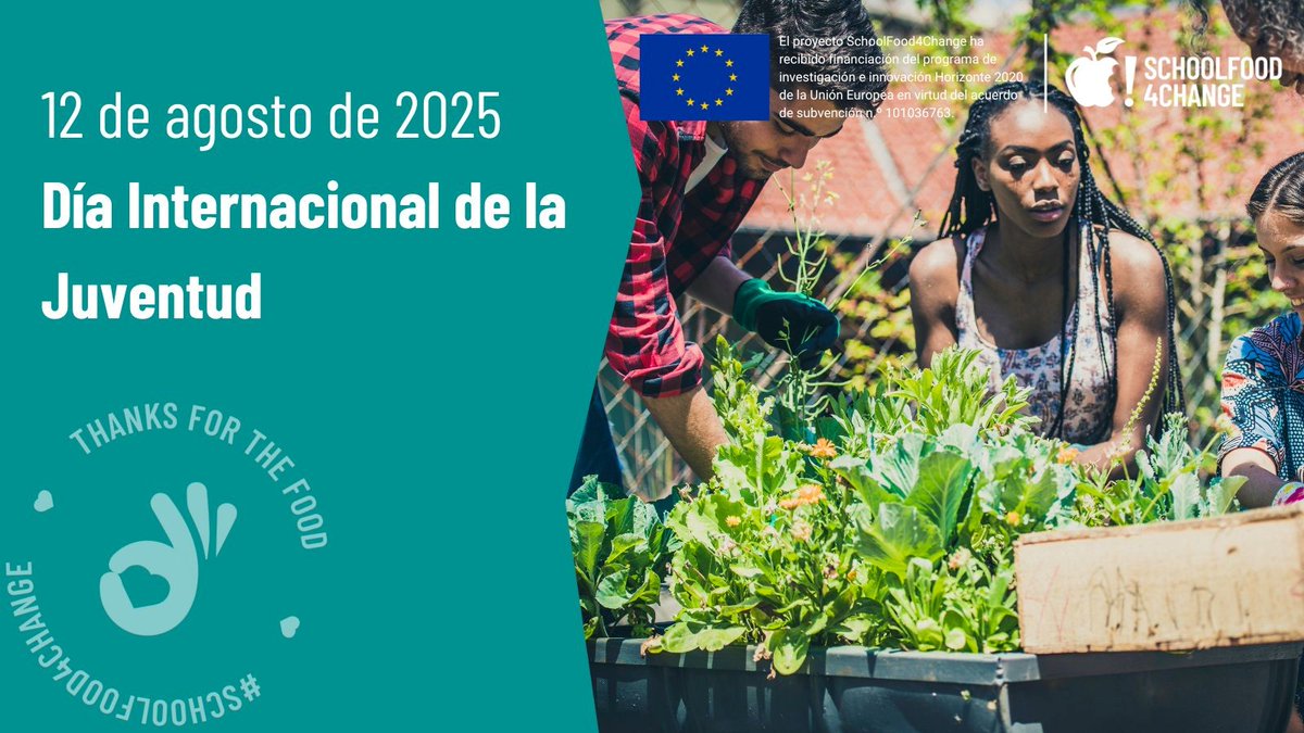 🌍✨ En el #DíaInternacionalDeLaJuventud, bajo el lema “Relocalizando los ODS”, celebramos el poder de la juventud para transformar comunidades desde sus escuelas y territorios

Gracias a las escuelas del proyecto @sf4c_project de #Fisabio-#DGSP por fomentar esa participación🏫💚