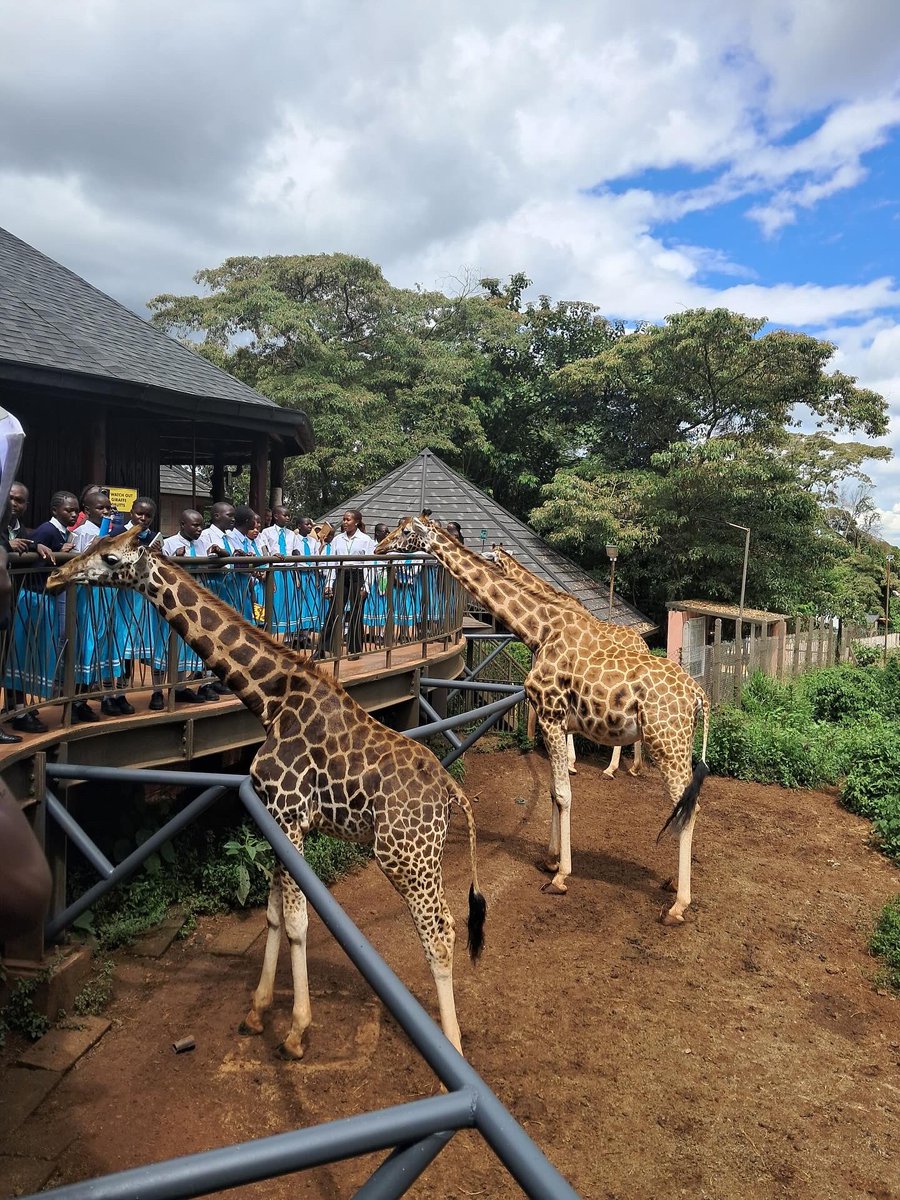 Thehummingbirdf's tweet photo. Environmental education trips are a fun way of children interacting with nature,learning how to protect and conserve it.
 #environmentaleducation #giraffecentrenairobi #mambavillagenairobi https://t.co/QaqahPOeE3