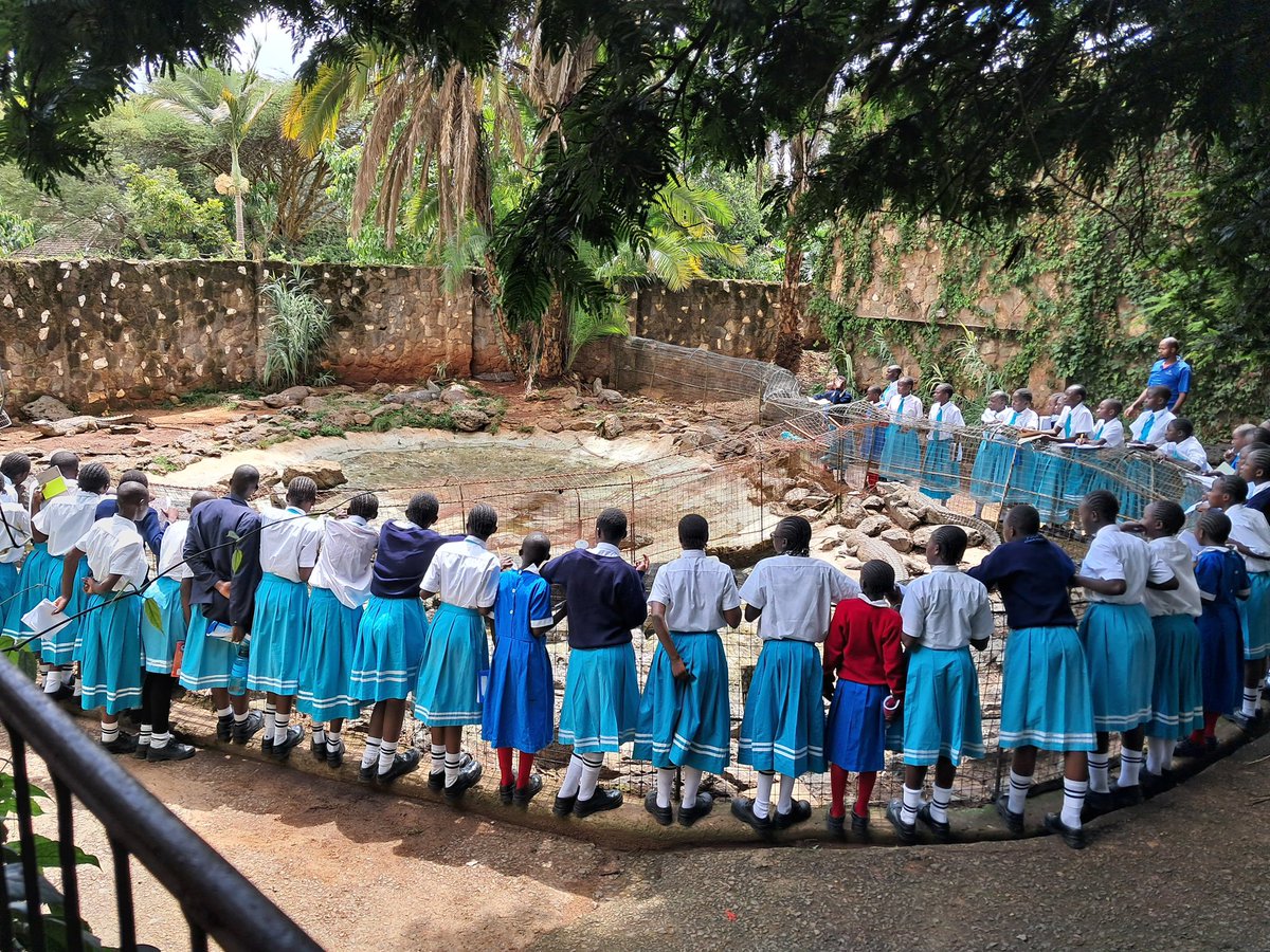 Environmental education trips are a fun way of children interacting with nature,learning how to protect and conserve it.
 #environmentaleducation #giraffecentrenairobi #mambavillagenairobi