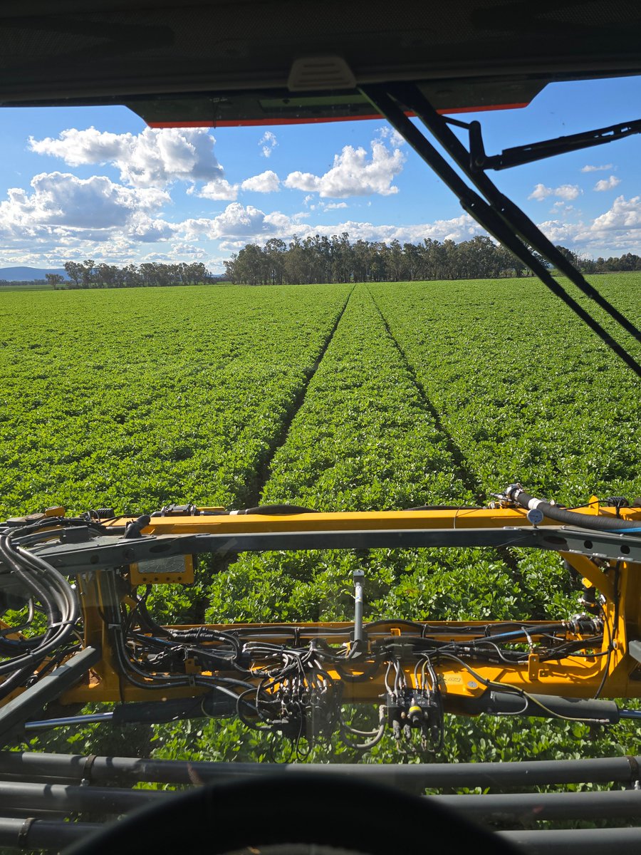 Broden holland tweet media