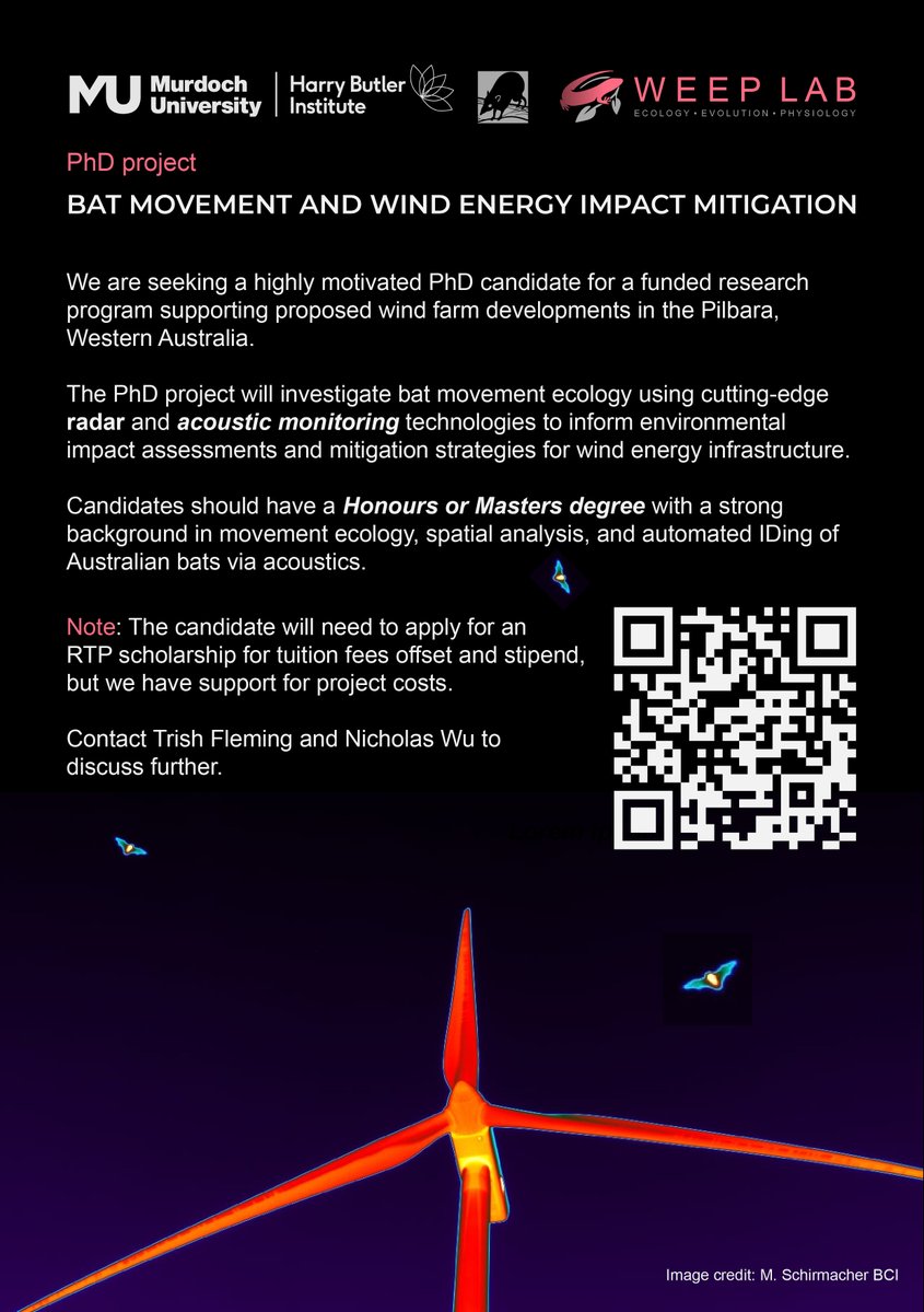 Nicholas Wu (@nicholaswunz) on Twitter photo We are seeking a highly motivated PhD candidate at <a href="/MurdochUni/">Murdoch University</a> to work on bat movement ecology 🦇 with a focus on predicting wind energy impacts 🌬️ nicholaswulab.com We are seeking a highly motivated PhD candidate at <a href="/MurdochUni/">Murdoch University</a> to work on bat movement ecology 🦇 with a focus on predicting wind energy impacts 🌬️ nicholaswulab.com
