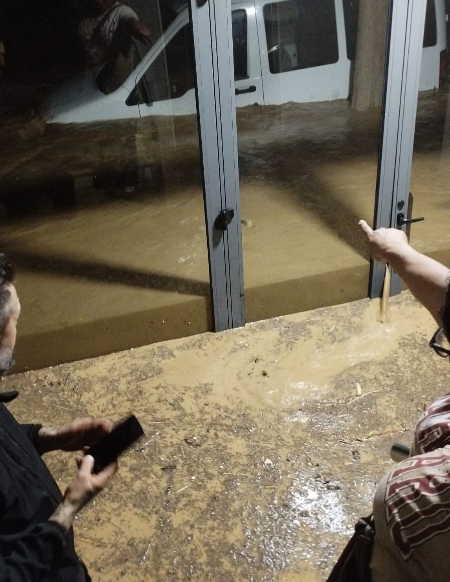 𝔇𝔢𝔫𝔫 tweet media