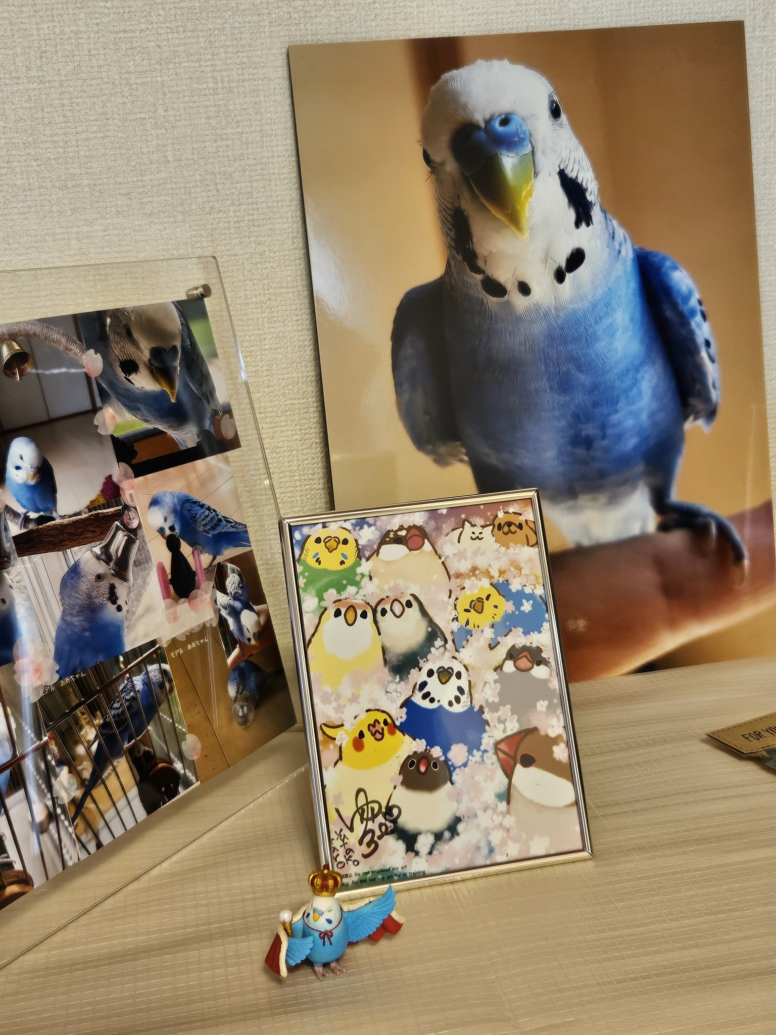 あおちゃんさま確認ページ♡ あおちゃん on X: 