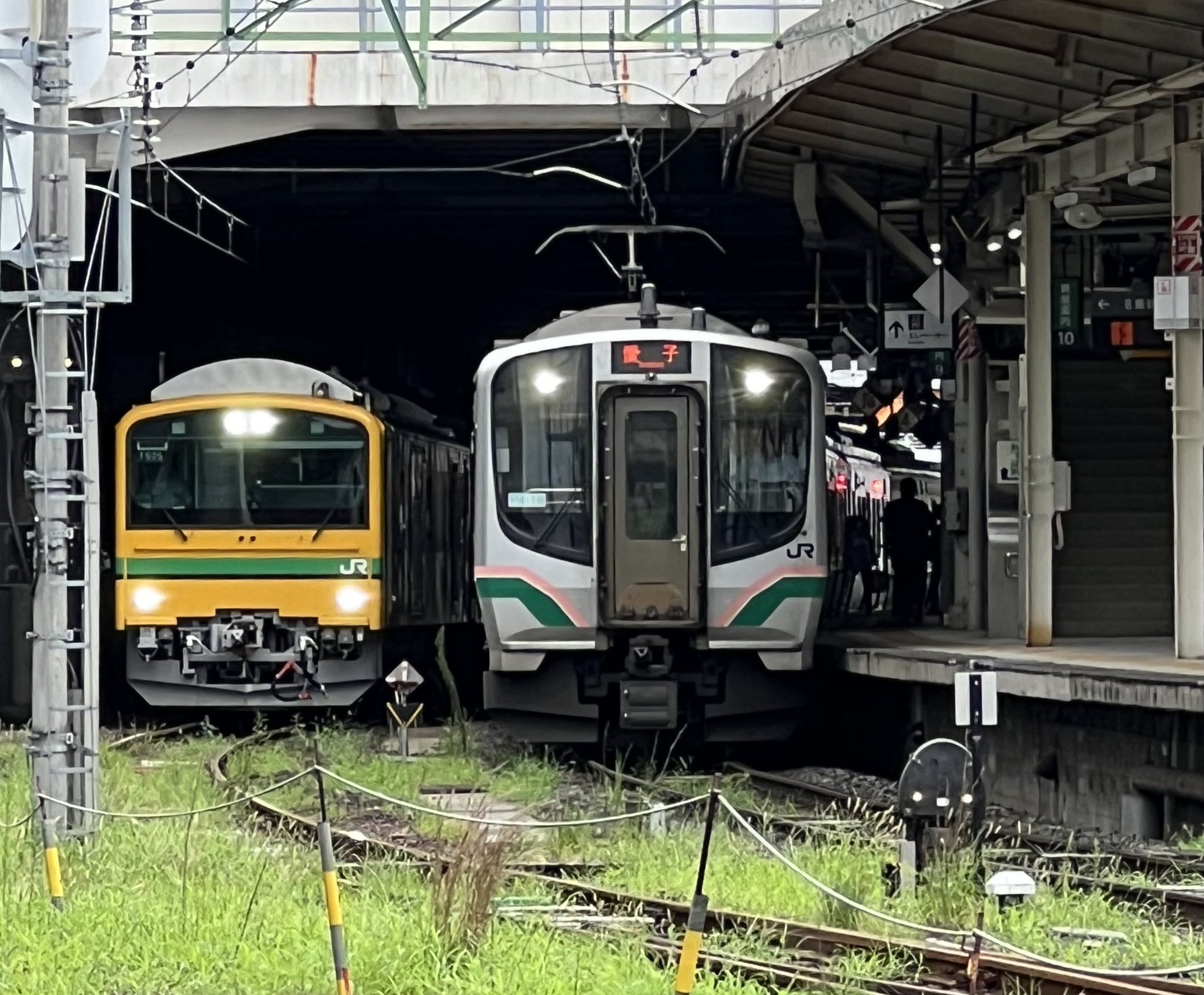 仙鶴05 新スカイブルー on X: 