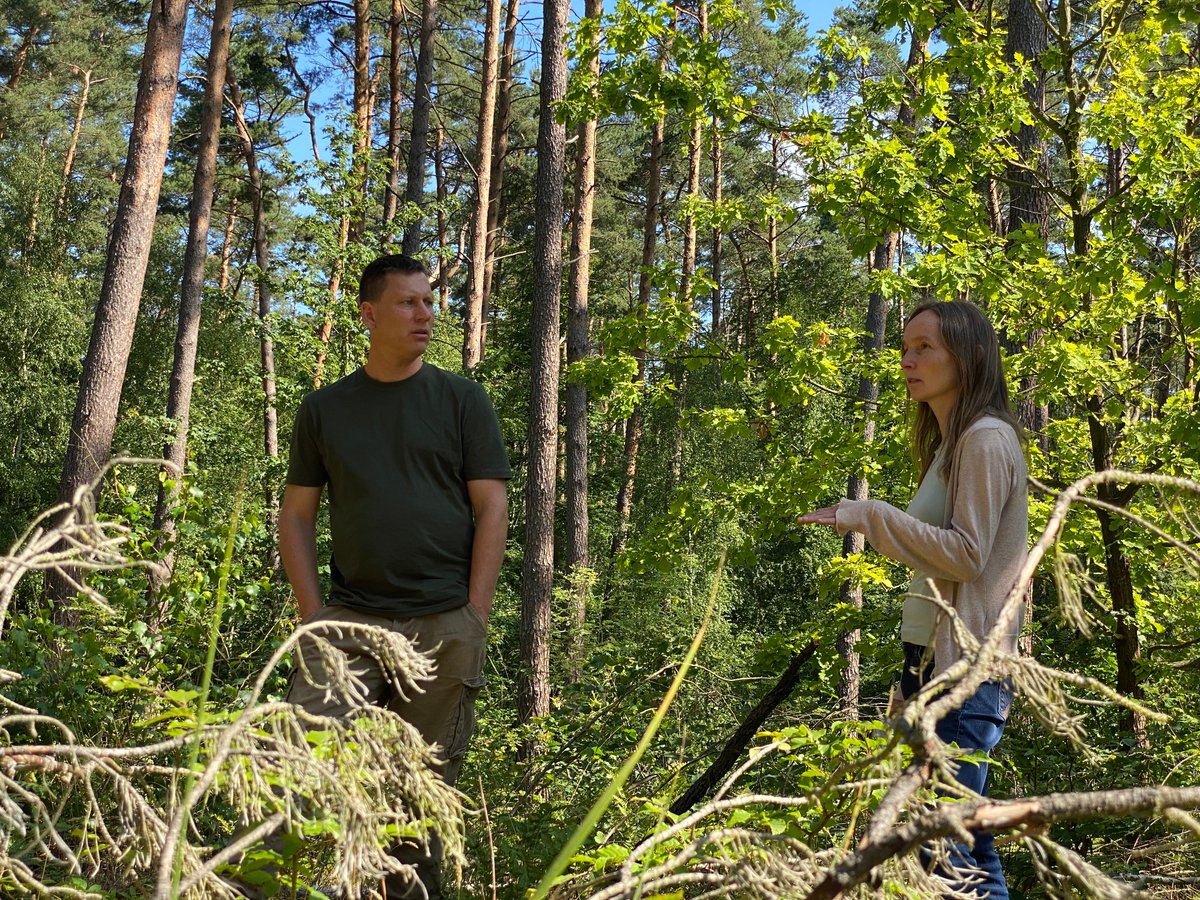 Uckermark_tmu's tweet image. Bäume für die Uckermark - Interview mit Peter Specht im Angermünder Stadtforst am Wolletzsee 
&amp;gt;&amp;gt; youtu.be/-sYYTLqYEgo?si… 
#uckermark #uckermark_erleben #angermünde #bäumefürdieuckermark