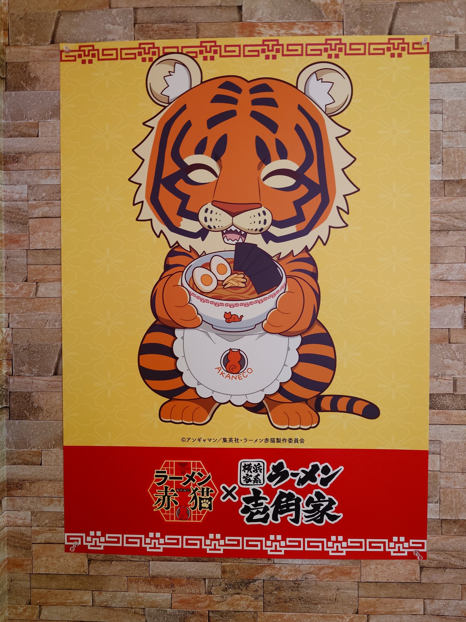 赤猫 杏 GkT0oDKXYAAcJGN.jpg
