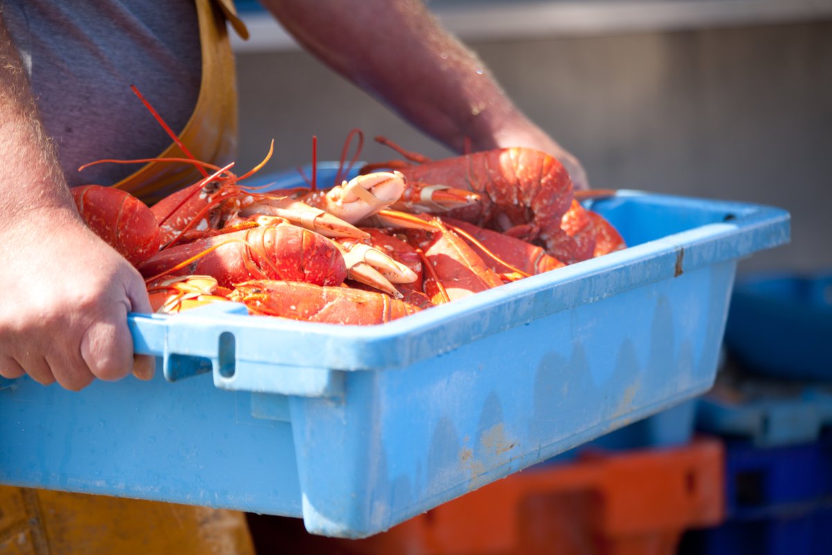 The Suffolk Coast is more than just sandy beaches and sweeping skies—it's a food lover's paradise, especially if you’re into seafood! 🦞

Here’s your guide to the most delicious, locally sourced seafood spots along this beautiful coast...

👉 thesuffolkcoast.co.uk/articles/where…

#Suffolk
