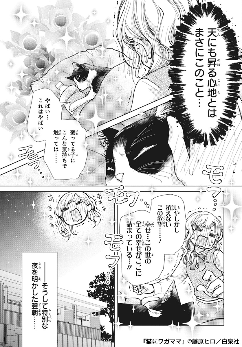 神社で衰弱している猫を連れて帰ったはずが、朝起きると同級生の男の子(猫耳付き)がいて…(4/7) 