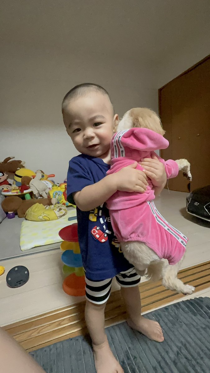 ron_0717's tweet photo. 髪切ったぜ一叶君 https://t.co/1lp8AJv3EJ