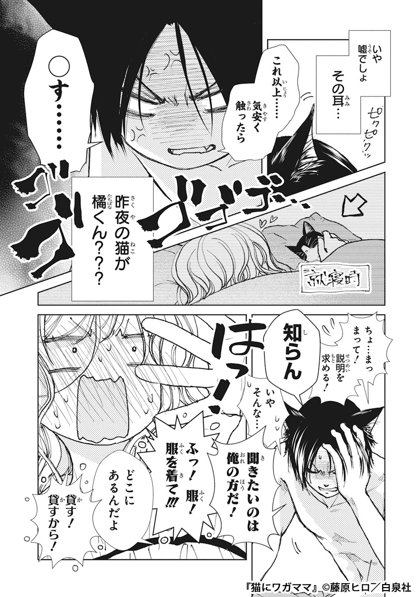 神社で衰弱している猫を連れて帰ったはずが、朝起きると同級生の男の子(猫耳付き)がいて…(5/7) 