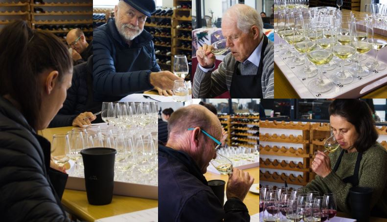 Judges at Wine-of-the-Month Club's second 'Fine Wine Awards' full of praise for South African wine, finding hardly any duds and highlighting 15 favourites - three of the trophy winners priced at under R100pb.

topwinesa.com/irjd

#SA #SouthAfrica #Top #Wine #Fine #Award