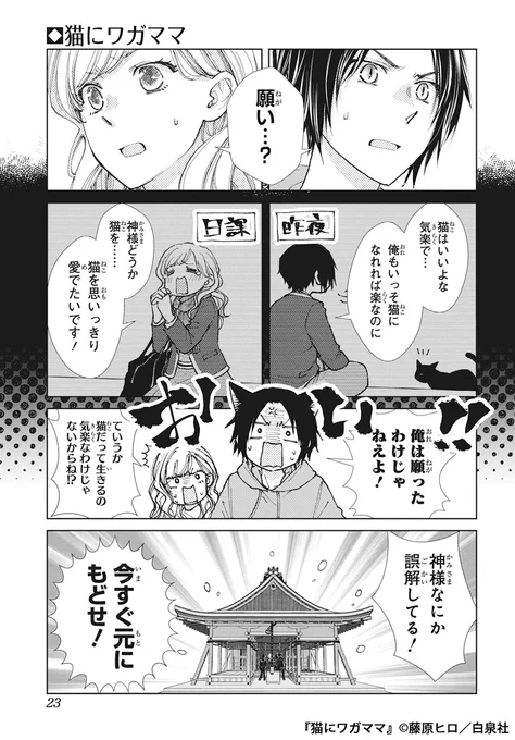 神社で衰弱している猫を連れて帰ったはずが、朝起きると同級生の男の子(猫耳付き)がいて…(6/7) 