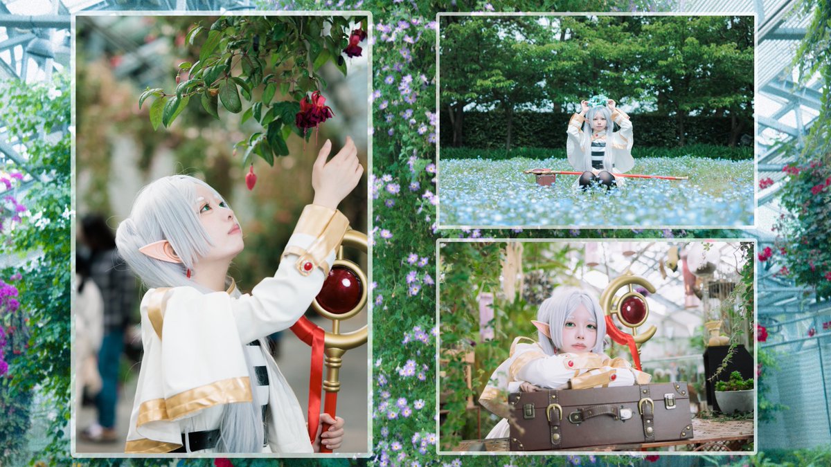 fooocam's tweet image. 主に東海でカメラやってますふうです！！
カメラ持って出かけるのが好きで基本なんでも撮りますが最近はコスプレ撮影が多いです‼️
 
他の人の撮った写真、コスプレ見るのも好きなので色んな方繋がってくれると嬉しいです🙏

#カメラマンさんと繋がりたい
#コスプレイヤーさんと繋がりたい