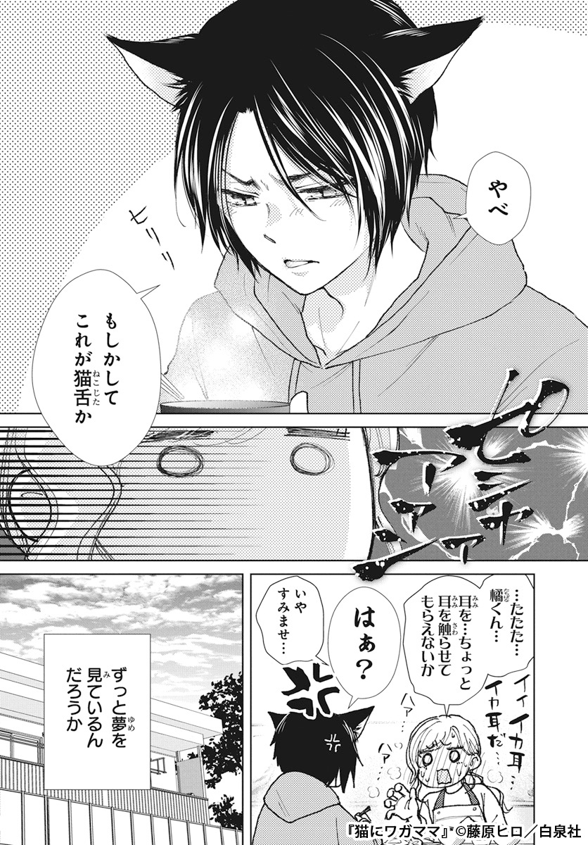 神社で衰弱している猫を連れて帰ったはずが、朝起きると同級生の男の子(猫耳付き)がいて…(7/7) 