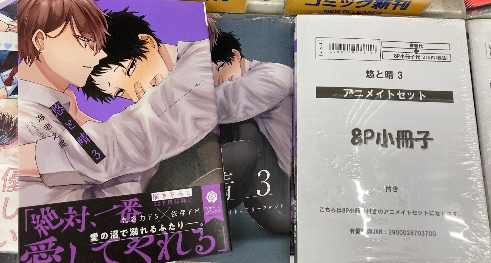 BL小説　16冊セットお譲り ☆BL小説まとめ売り／即購入大歓迎／特典・初版多数／まとめ買い