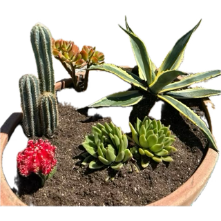 Goedemorgen beste Twixters🙋‍♀️☕️😎
Een vrolijke en gezellige dinsdag gewenst 🌻⛱️☀️💦Vergeet geen water te drinken💦
Maak er wat moois van 🫶