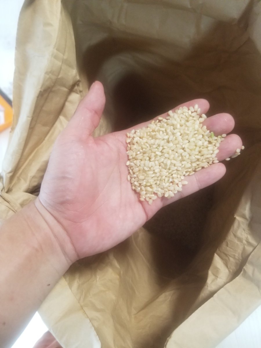 uro__oboe's tweet photo. 米の移動日だったので倉庫から冷房室へ運んで一部白米と玄米に精米。玄米はもう少し乾燥してもいいかな。
今夜は新米だー https://t.co/WXGNdfhQyl
