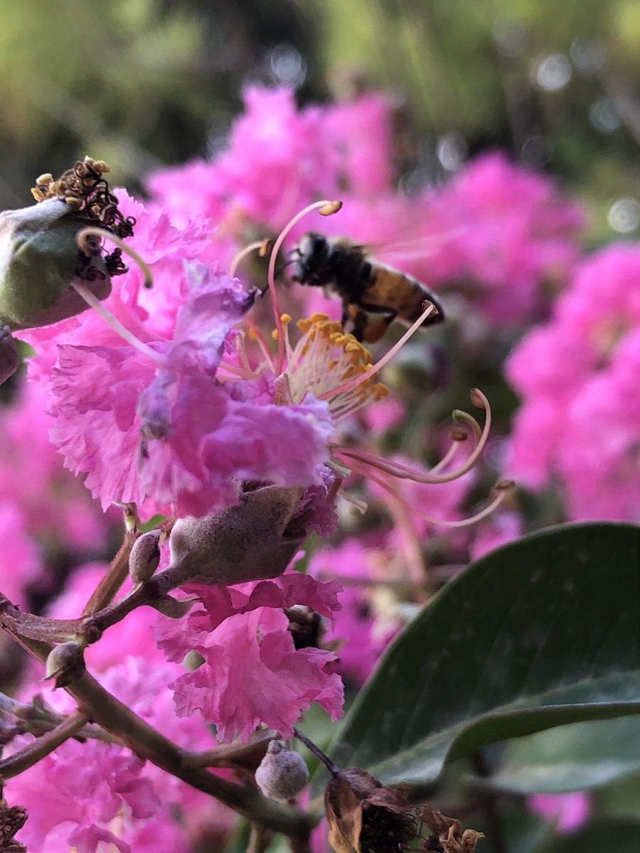 لا تطلب حياة سهلة،
 اطلب قوة تكمل فيها الطريق الصعب ..

#صباح_الخير