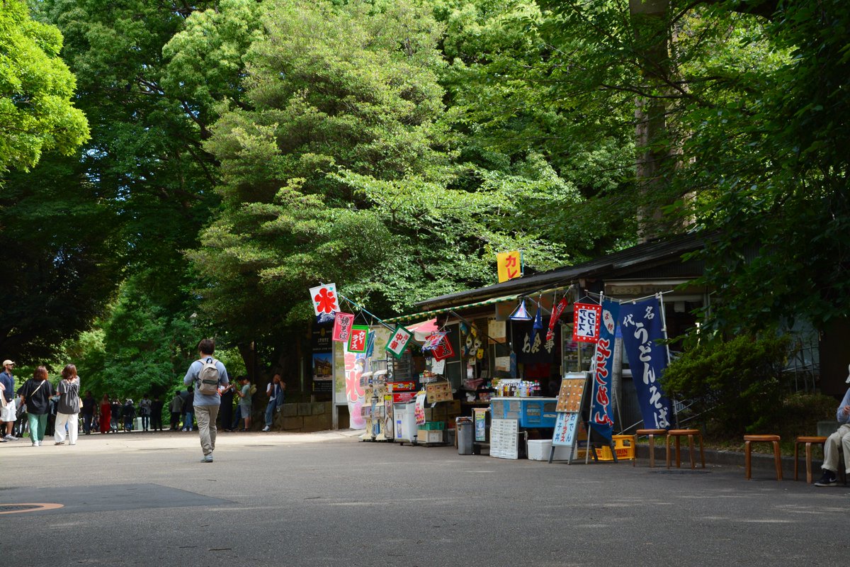 フリー素材ドットコム tweet media