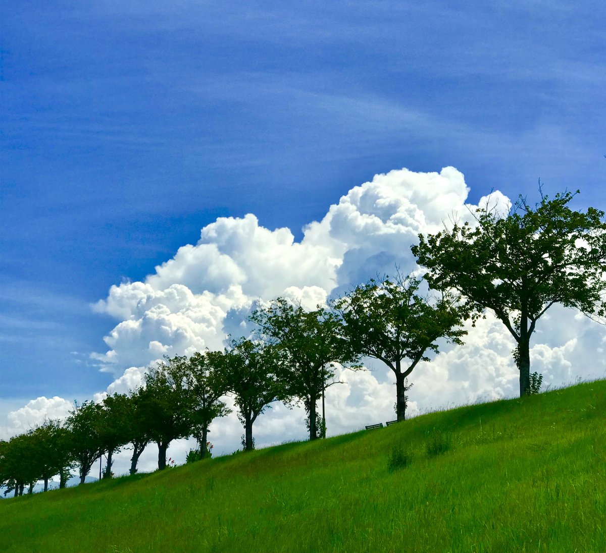 フリー素材ドットコム tweet media