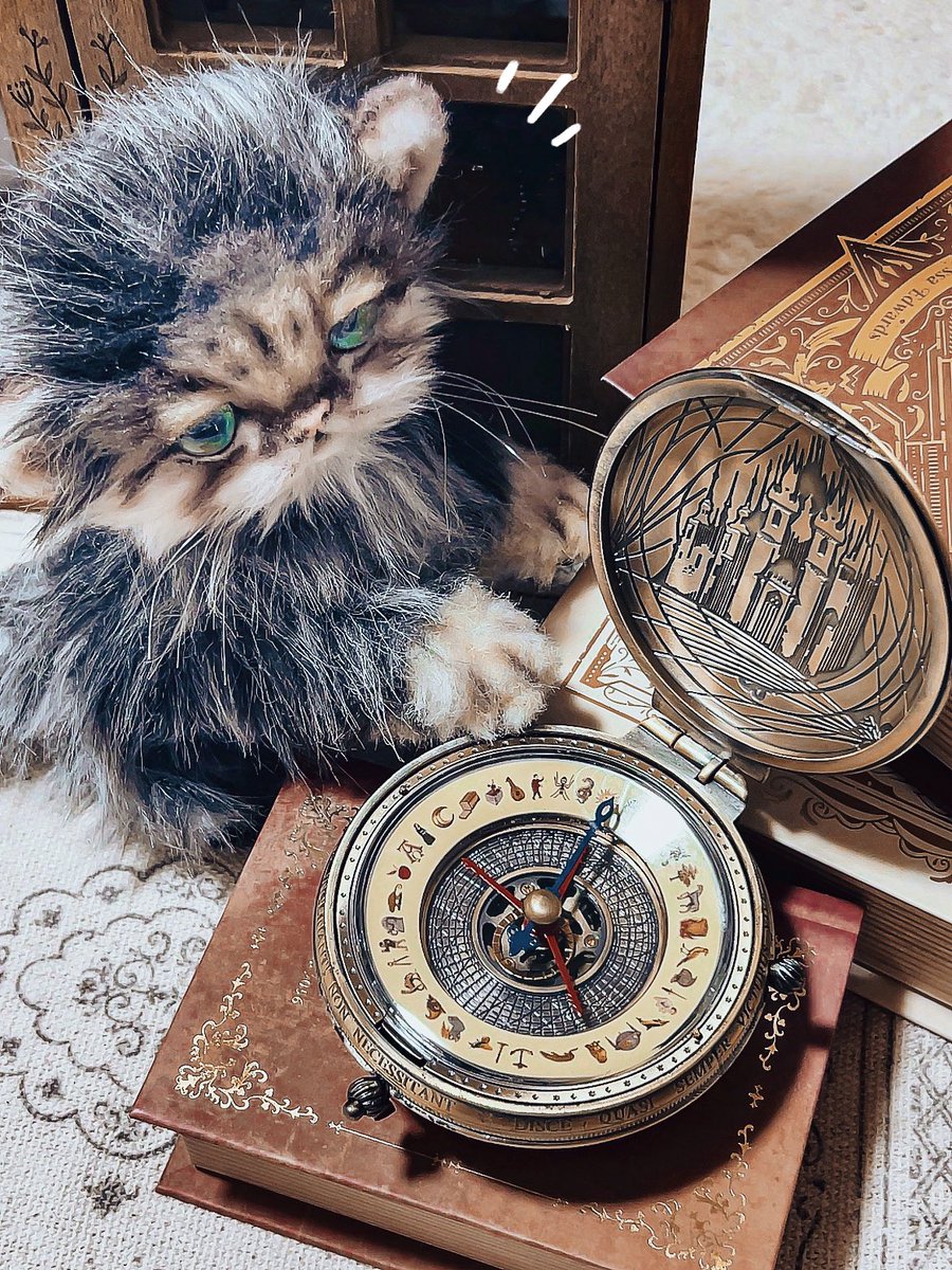 幼い頃からずっと追い求めていた
『ライラの冒険』の黄金の羅針盤⋆꙳*

大人になって夢が叶うってすてき。

 #ライラの冒険
 #黄金の羅針盤  #アレシオメーター
 #ぬい撮り