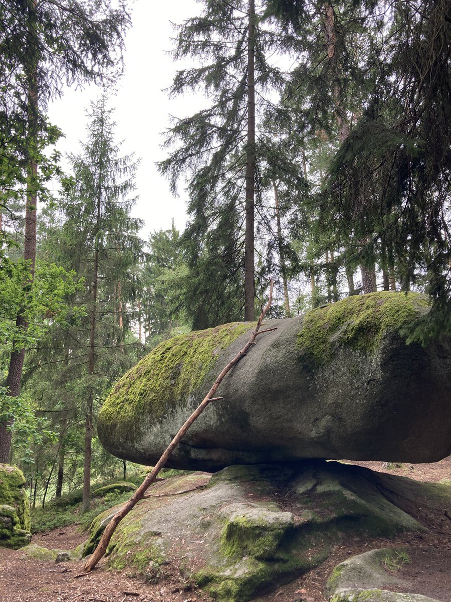 Schwarzinger Maria (@didi78290) on Twitter photo Man muß weggehen können
und doch sein wie ein Baum:
als bliebe die Wurzel im Boden,
als zöge die Landschaft und wir ständen fest.
Hilde Domin, 
Ziehende Landschaft Man muß weggehen können
und doch sein wie ein Baum:
als bliebe die Wurzel im Boden,
als zöge die Landschaft und wir ständen fest.
Hilde Domin, 
Ziehende Landschaft