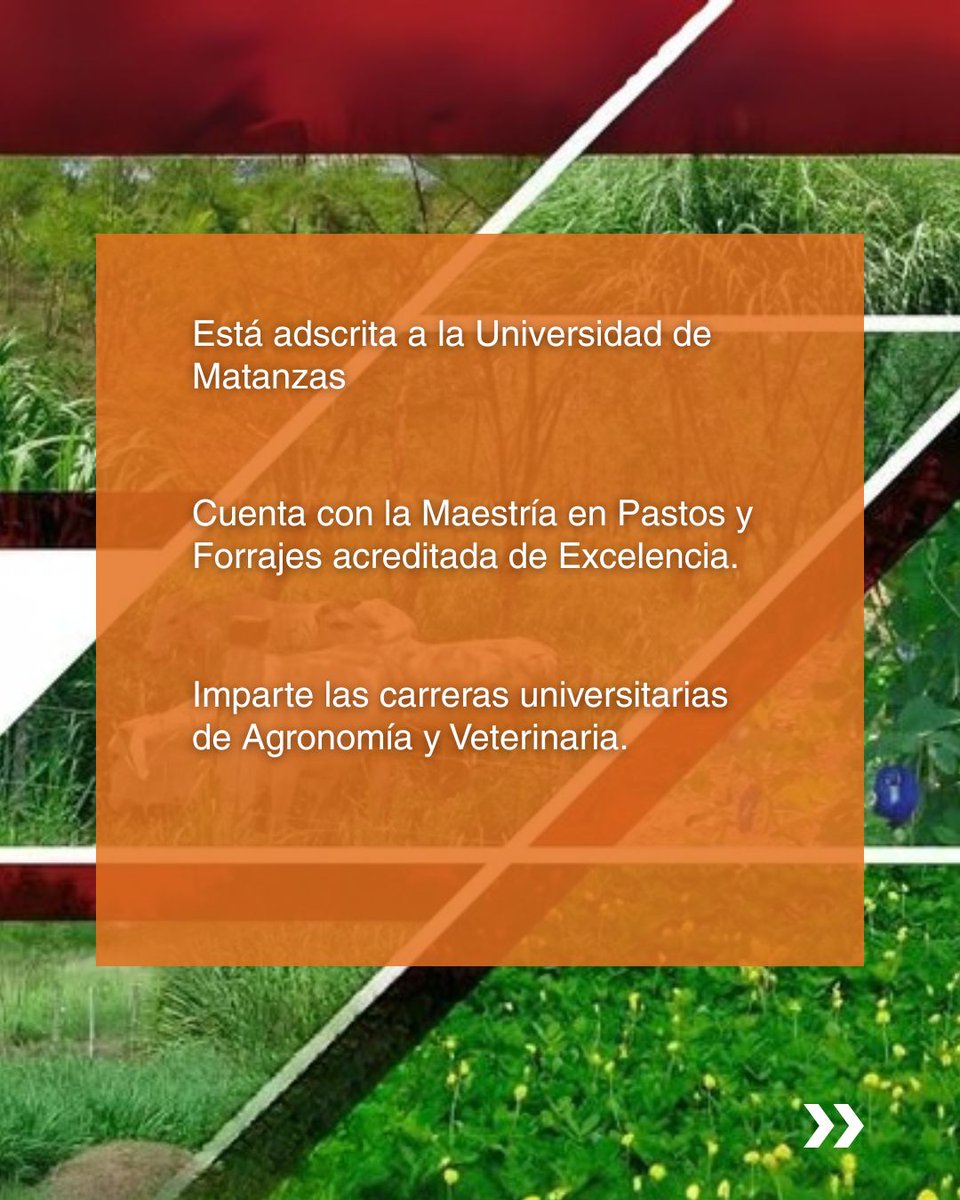 care_cuba's tweet photo. En el Proyecto Ella Tambié Produce, #CAREenCuba trabaja junto al socio local la @EE_IndioHatuey.

Hoy, en #LosSociosDeCARE, te contamos sobre esta institución científica matancera con más de 60 años de historia. 

#soberaniaalimentaria #SistemasAlimentariosSostenibles @CanadaDev https://t.co/CMdJ5vCrKw