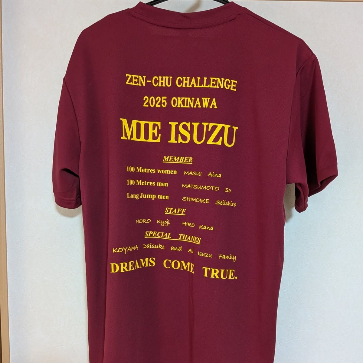 入手困難 新品 未開封 水曜どうでしょう 姫だるま　コラボ　tシャツ Lサイズ tシャツ - Search / X