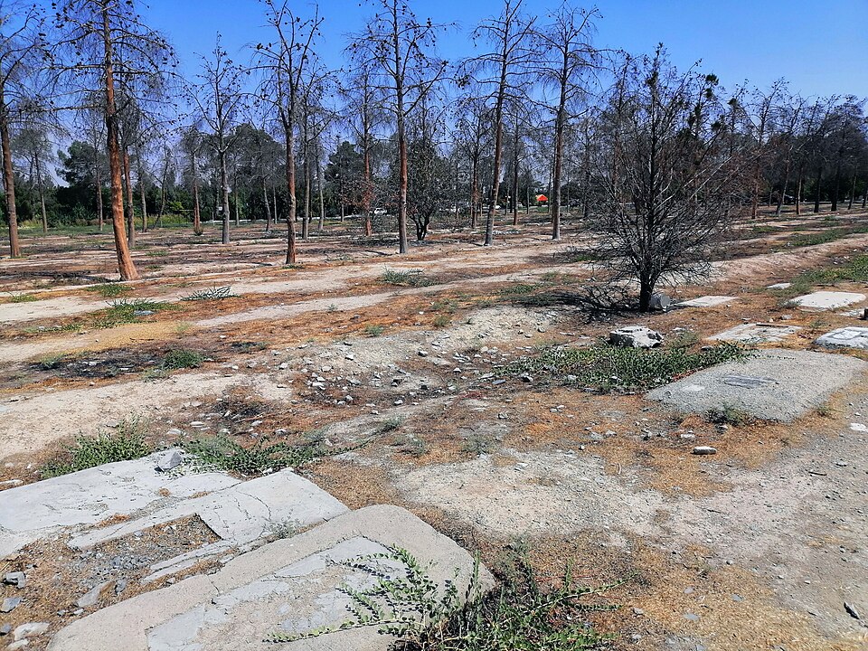 🚨 Authorities in Iran are using heavy machinery to demolish Section 41 of Behesht Zahra Cemetery—burial site of thousands of political prisoners executed in the 1980s. Intelligence agents are blocking public access. The UN must act to stop Iran erasing evidence of its atrocities