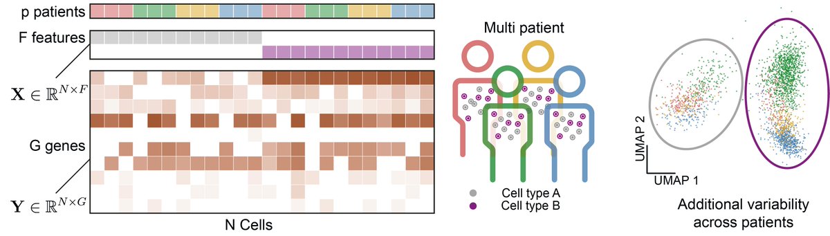 Giovanni Santacatterina tweet media