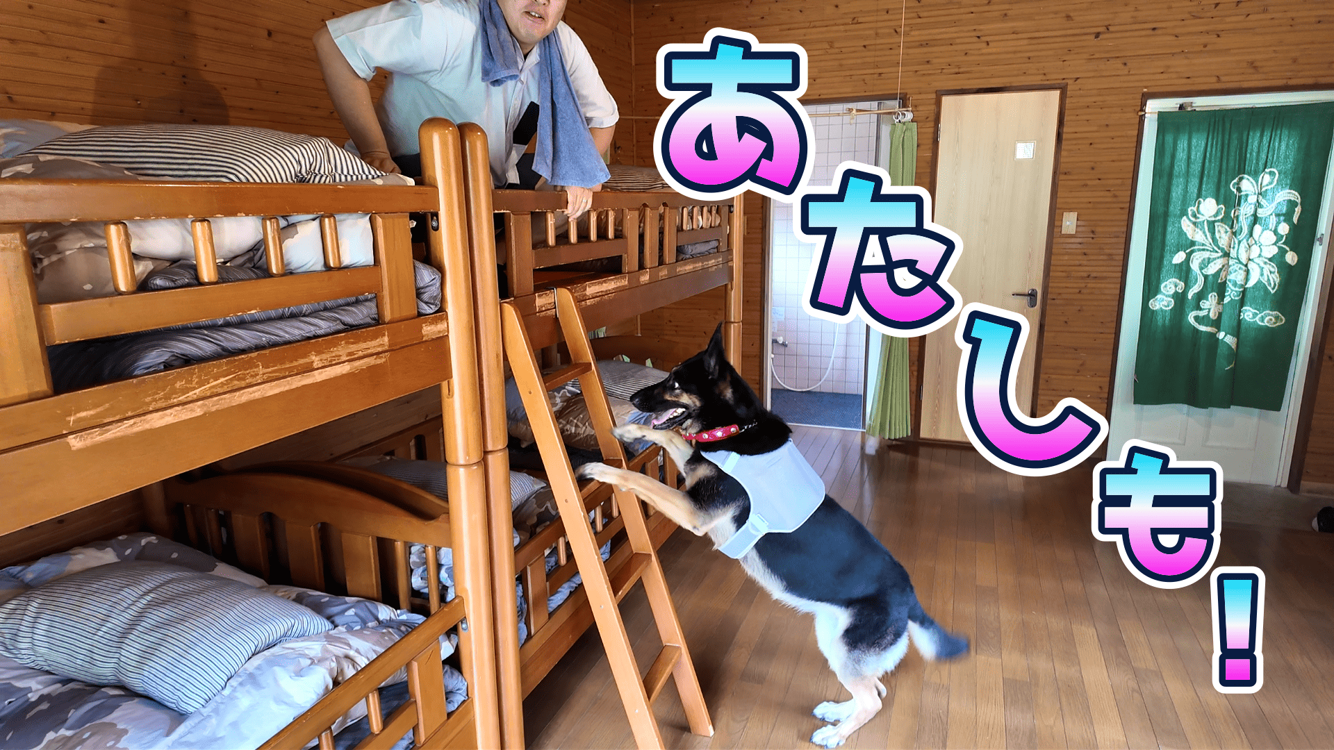 Chien様 Amazon.co.jp: ゼクス Z/X B45-066 懲罰委員会の偉い人