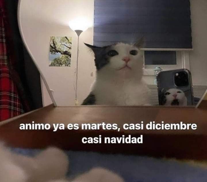 En Júpiter tweet media