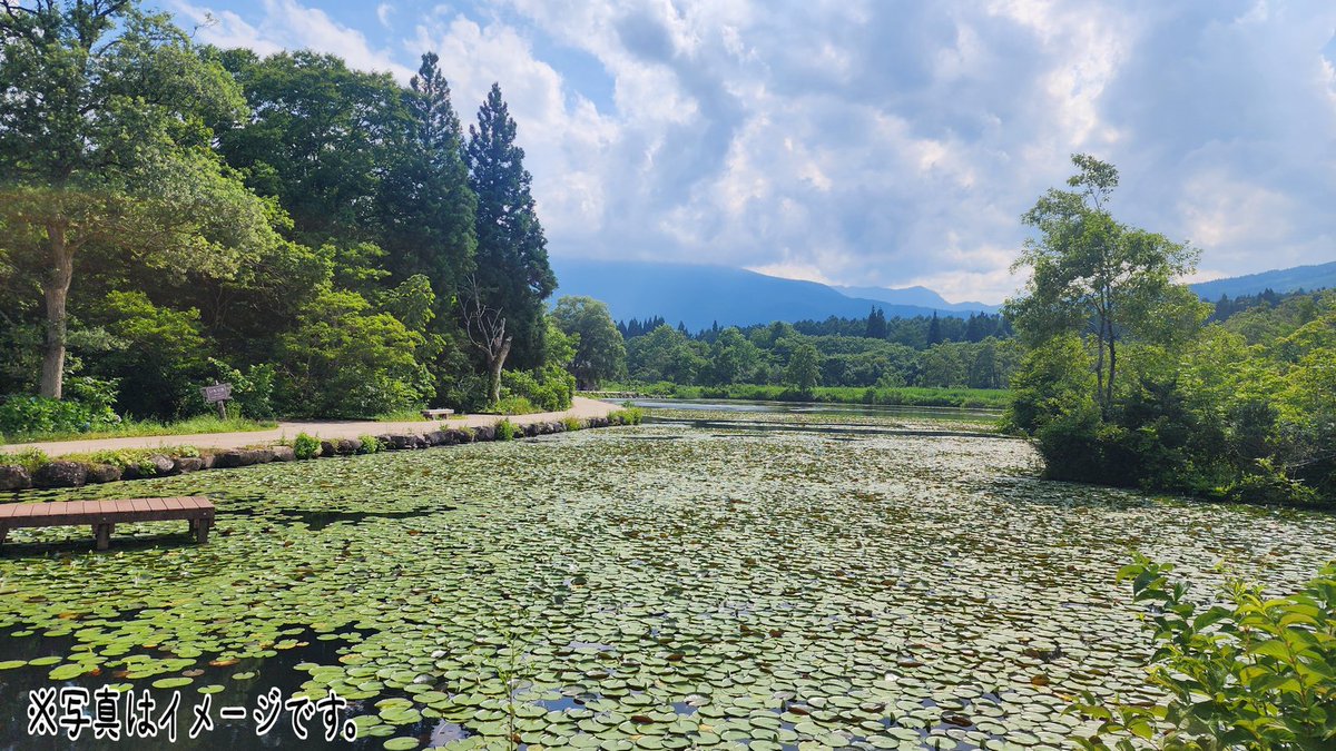 日々、成長するしかないのである。
先日、地元に帰った時の写真を添えて。