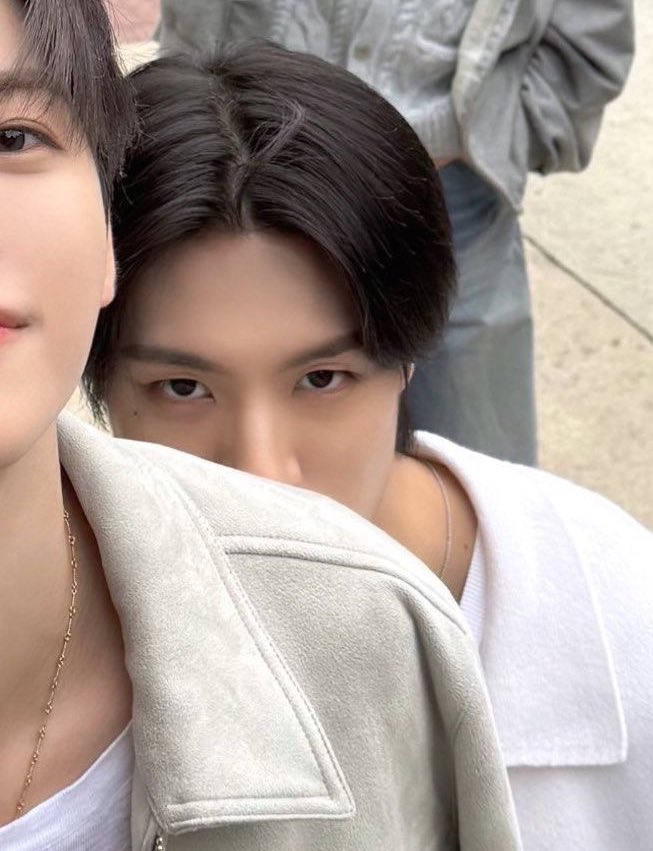 animal                                                 real life