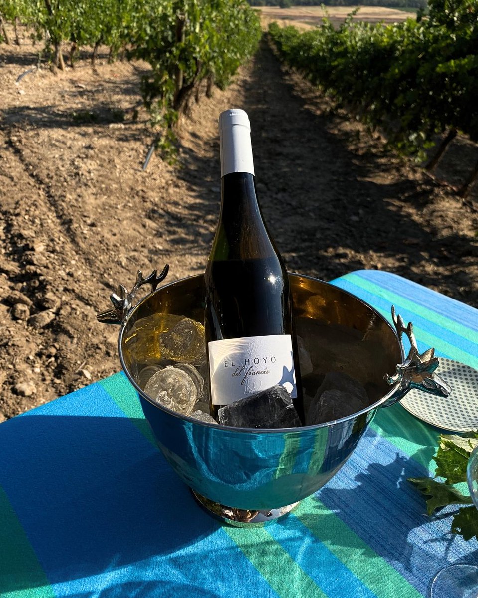Ayer recorrimos el viñedo con un grupo de gente joven.
Como no podía ser de otra manera, terminamos disfrutando de un verdejo "auténtico" y refrescante.
En este caso,  EL HOYO DEL FRANCÉS.  
ww.bellorivinos.com
#Bellorí #DORueda #Verdejo #VinoBlanco #ElBlancoDeTodasLasMiradas