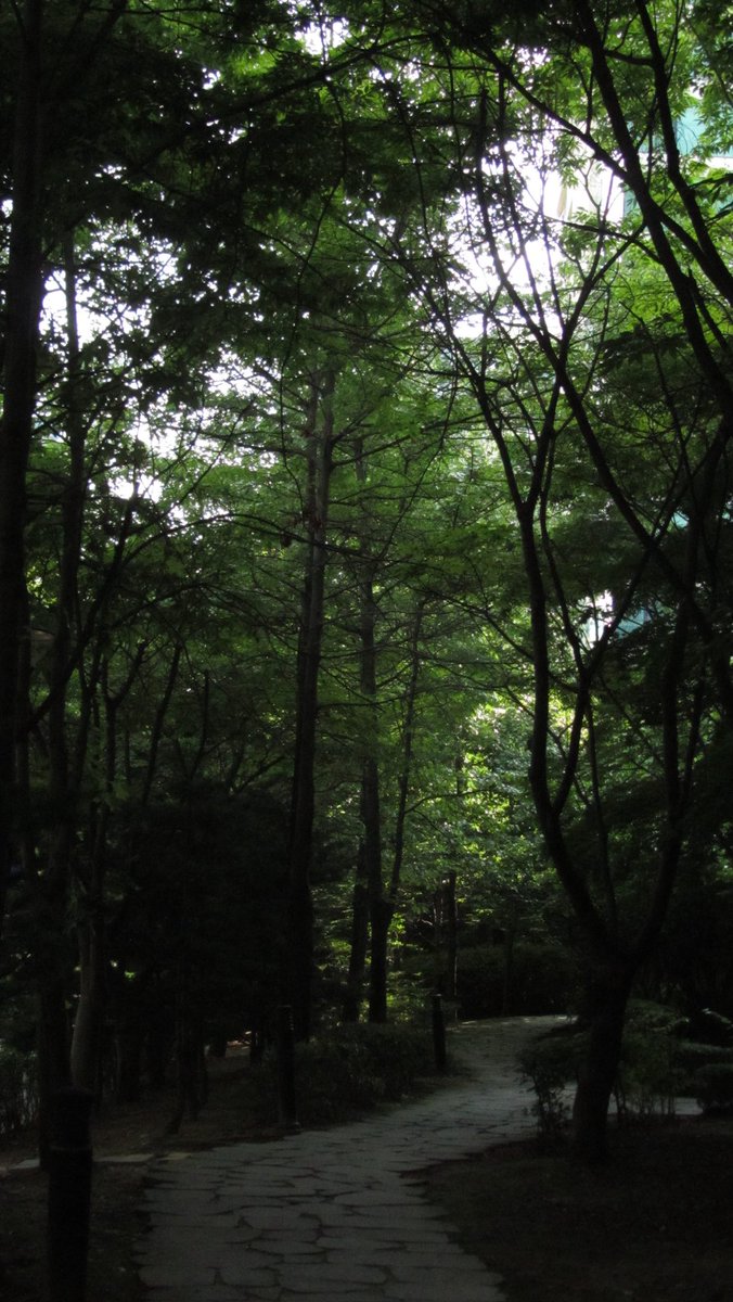 gazingstill (@gazingstill) on Twitter photo 