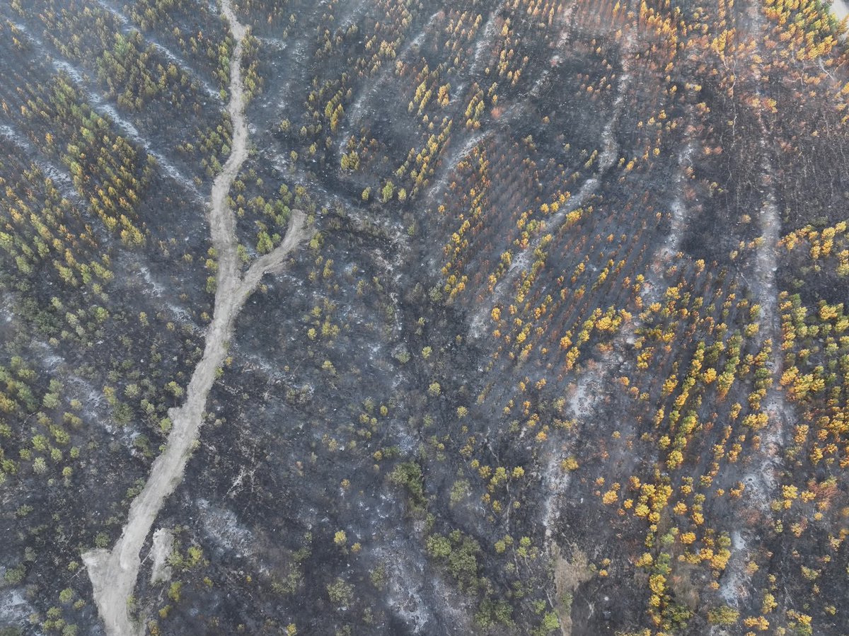 Dolu Metrobüs🚎 tweet media