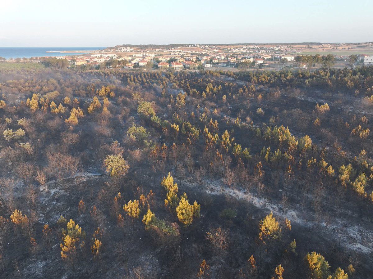 Dolu Metrobüs🚎 tweet media