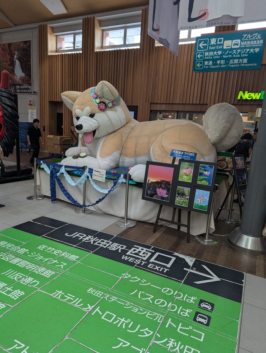 第2便秋田通過しました