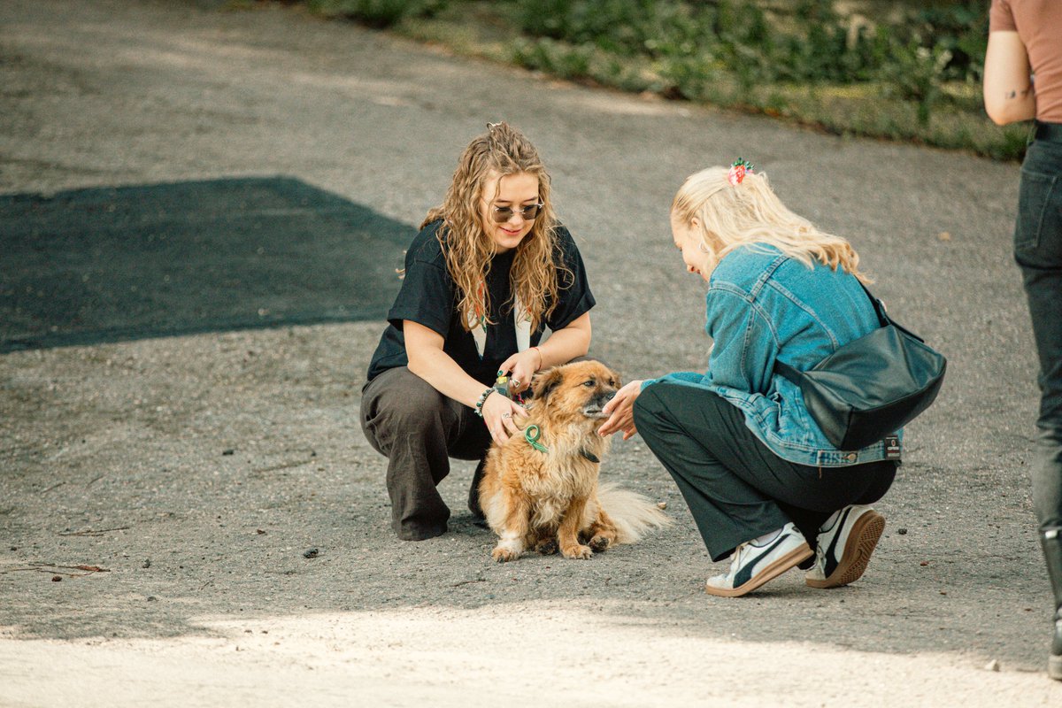 SoliTek_EU's tweet photo. Small acts of kindness matter. 🐾
Together with #BodLenses, #SoliTek spent a day at Tautmilė’s Animal Shelter - walking dogs, cleaning kitten rooms & bringing food, blankets & essentials to make them more comfortable.
#SocialResponsibility is about action, not words. 🐕🐈 https://t.co/eEqTR1TIct