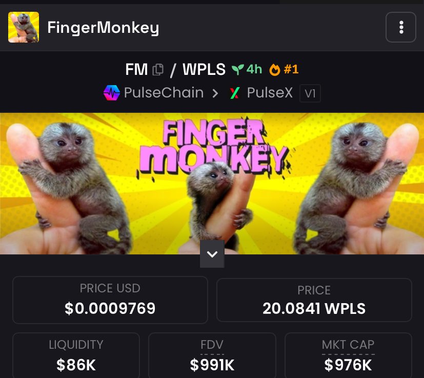 Damn, I’m about to get fired, you guys are scaring me to death here.

1M market cap 😵😱😥😰😨😬😱

What’s the next CA again? 😏😏😏