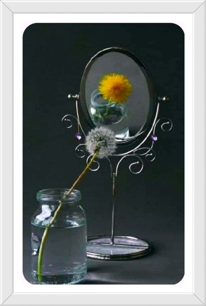 🩷 Bonjour 🩷

#mardimiroir..
Une très belle journée à vous tous..
Que ce mardi soit source de bonheur et de tendresse..
Prenez soin de vous et n'oubliez pas de vous hydrater..
Kiss 💋