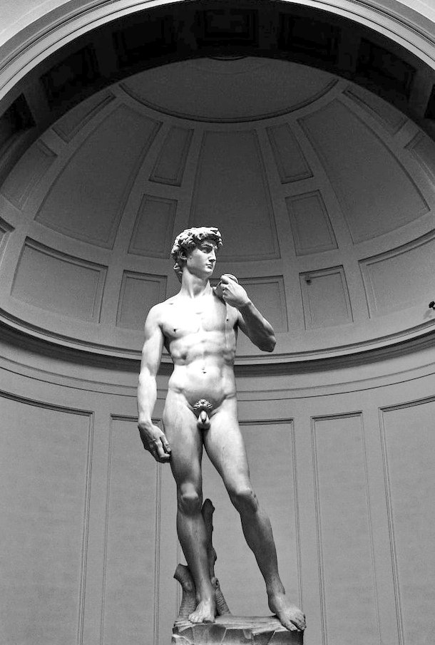 Art Gallery tweet media