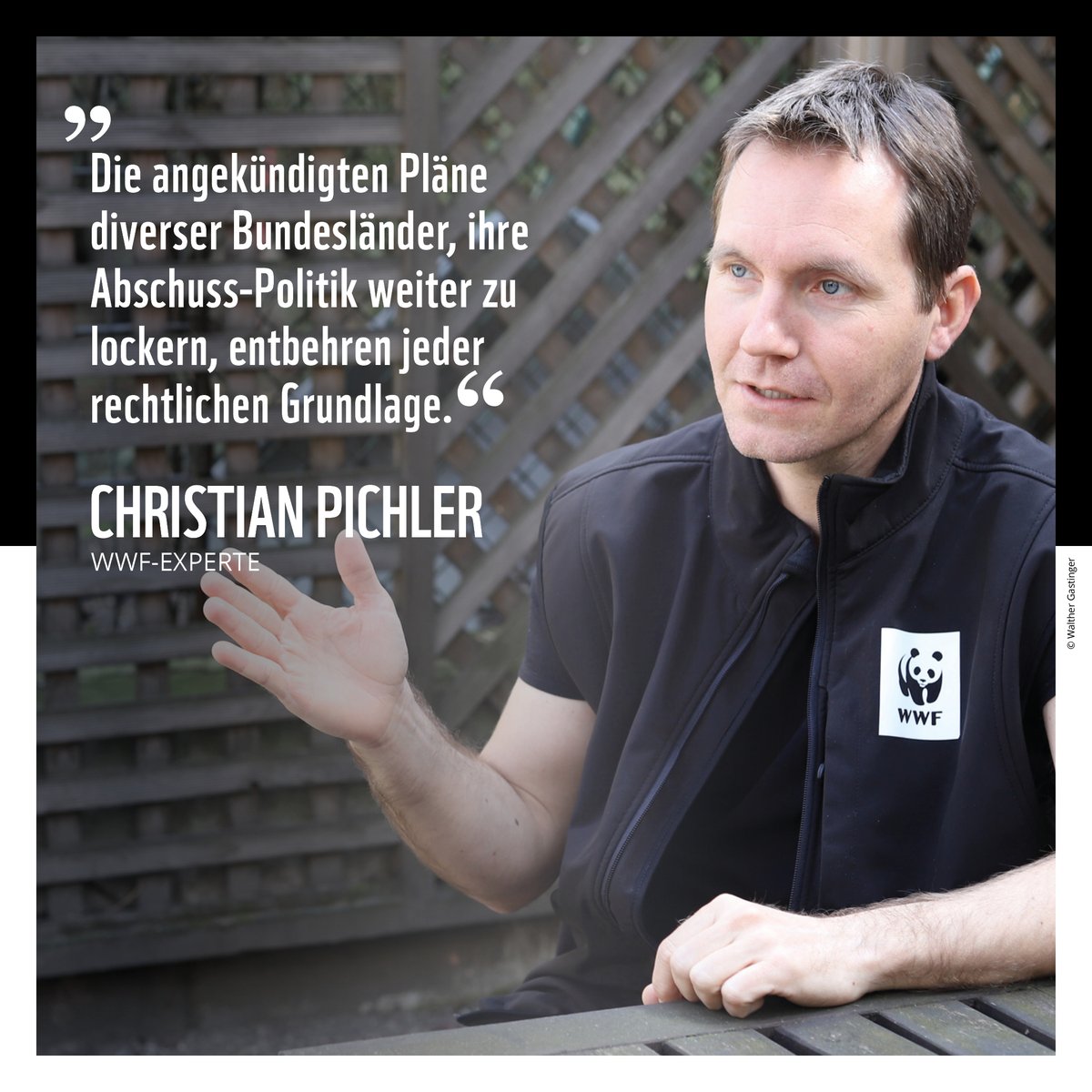 Schützt den Wolf! Einige Bundesländer wollen präventive Abschüsse und sogar wolfsfreie Zonen ermöglichen. Das steht im Widerspruch zum geltenden EU-Recht und löst keine Probleme, sondern schafft neue.
Mehr dazu in unserem aktuellen Wolf-Faktencheck: wwf.at/wp-content/upl…