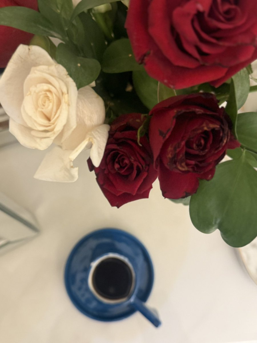 🌸

اللهُم إجعلنا ممّن ألقيت عليهم محبّتك فجعلت لهم قبولاً في الأرض ومحبة في السماء .

     #صباح_الخيرᅠ #قهوتي 🤍