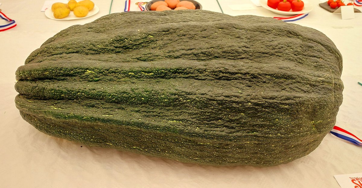 David Storey tweet media