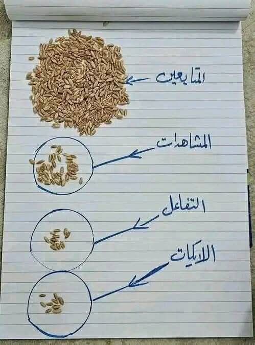 سﭑاهر🇴🇲 tweet media