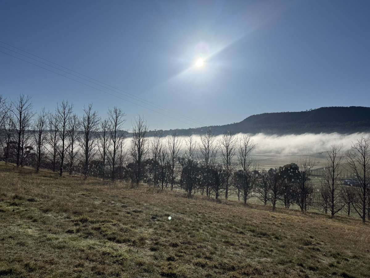 Beautiful sunny winter days across the farm. 🌅 If you zoom in on the trees you’ll notice just how many cobwebs and spiders are really out there. 🕷️🕸️
